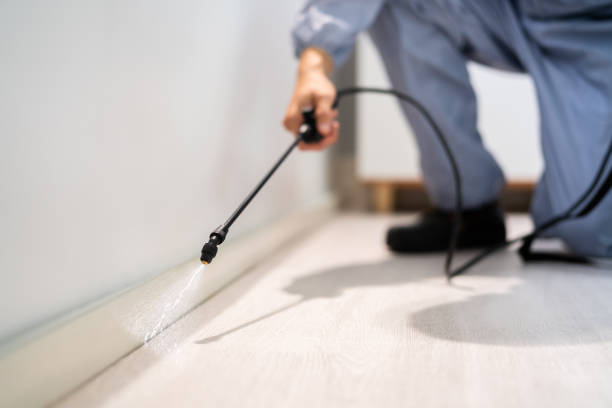 Bed Bug Pre-Treatment Preparation Assessment in Perryville