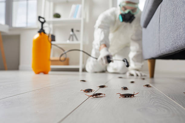Post-Treatment Bed Bug Interceptor Monitoring in Perryville