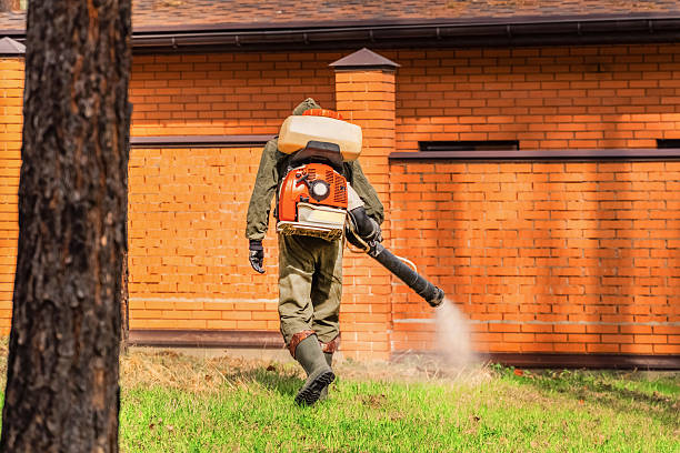 Bed Bug Clearance Verification and Documentation in Perryville